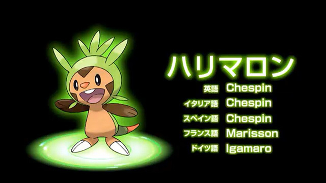 Chespin grass